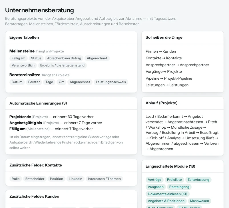 Die Vorschau in Salesfy für Unternehmensberatung: eigene Tabellen mit ihren Feldern, automatische Erinnerungen, Begriffe und Ablauf.