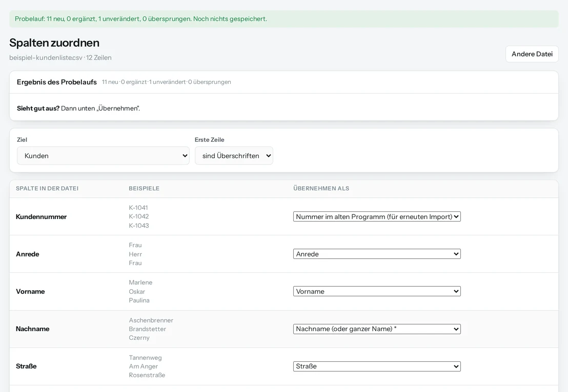 Spalten zuordnen: links die Spalten der Datei mit Beispielen, rechts das Feld in Salesfy, darüber das Ergebnis des Probelaufs.