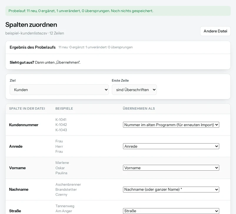Spalten zuordnen: links die Spalten der Datei mit Beispielen, rechts das Feld in Salesfy, darüber das Ergebnis des Probelaufs.